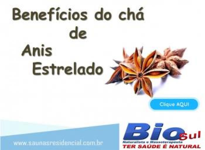 BENEFÍCIOS DO ANÍS ESTRELADO