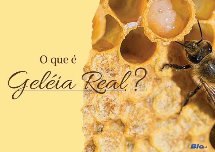 GELÉIA REAL, o que é? 