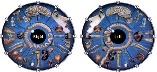 Iridologia