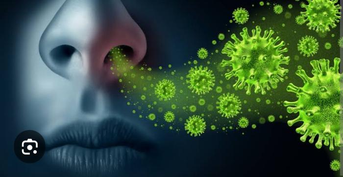 Influenza