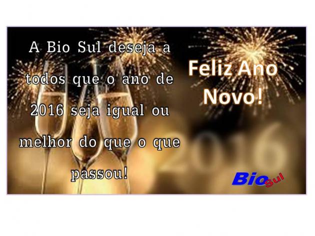 Feliz Ano Novo