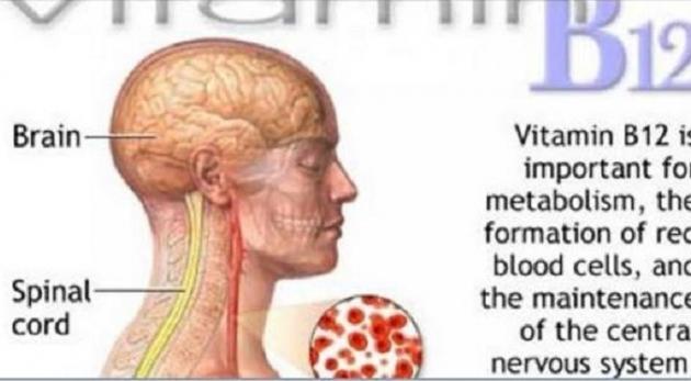 7 SINAIS DE QUE VOCÊ TEM DEFICIÊNCIA DE VITAMINA B12 